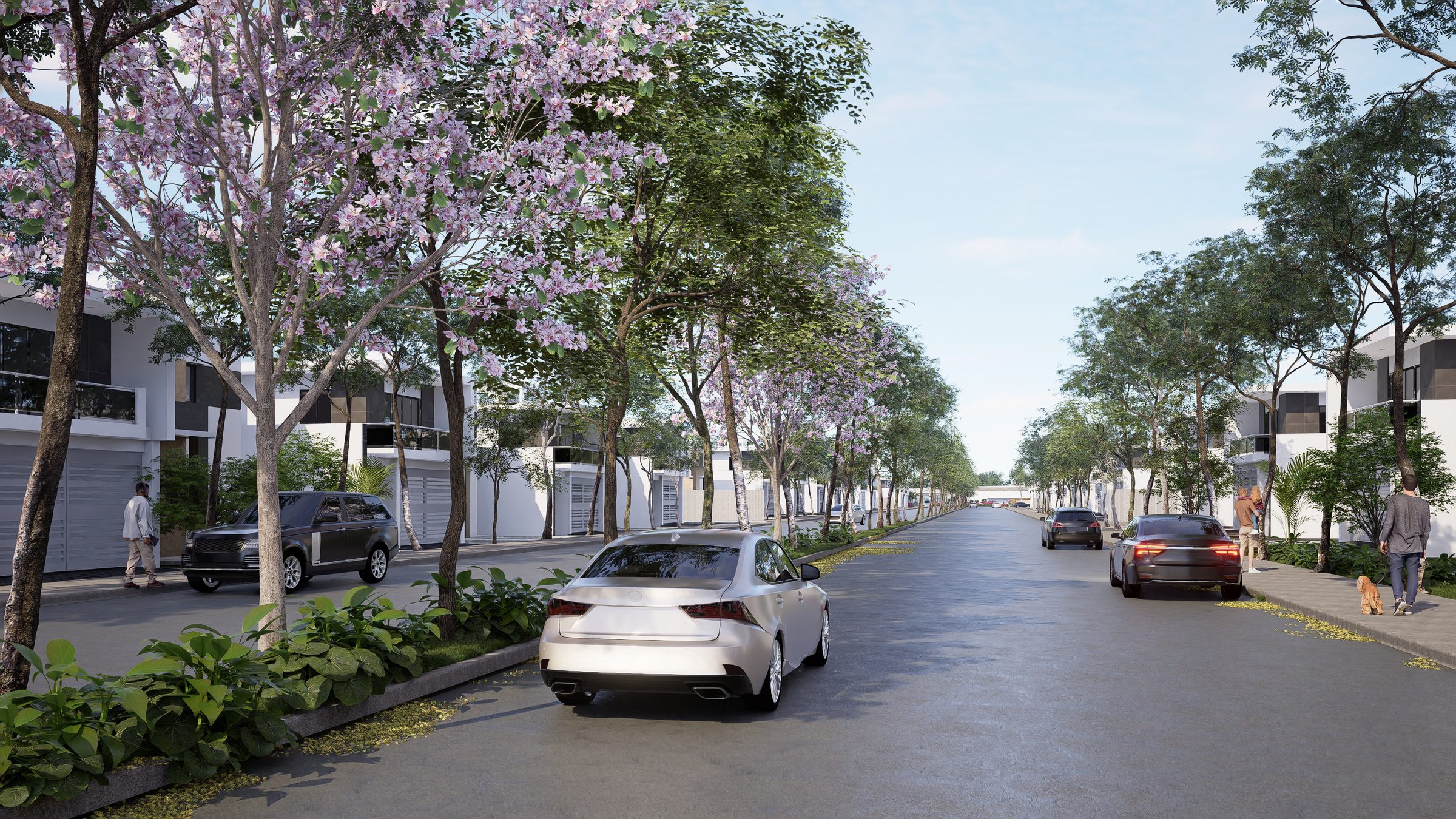 Avenida principal Capitalia Motul Yucatán árboles jacarandas